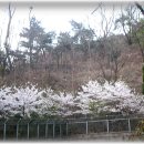 우리동네꽃동네 - 남동구 백범로247번길 88 | 우리동네꽃동네