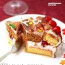 [생크림케이크만들기]간단한 생크림케익 만드는법 by 미상유 이미지