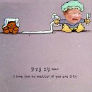사랑새 이미지