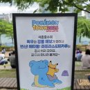 잠실 롯데월드몰점 크리스피크림도넛 포켓몬 도넛 가격 및 구성 보관방법