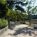 건아렌트카 이미지