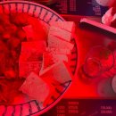23_10: 가을 1초컷