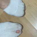 양말사 이미지