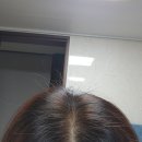 부산양정동 헤나크리닉 염색 전문샵