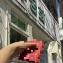 무궁화세탁소 이미지