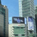 피써티원 | 직장인 일상블로그 | 새로운 것을 도전하기 시작한 3월의 일상