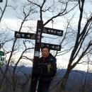 피제 이미지