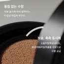 자빈 | 인생 쿠션 정착기 ! 자빈드서울 윙크 파운데이션 팩트 솔직 후기 ( 지속력, 커버력 끝판왕 )