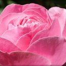 청량마을회관 이미지