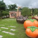 주남오리알 이미지