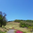 입점리고분전시관 이미지