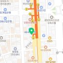 부산강아지분양 고양이분양 베스트펫 본점 이미지