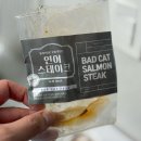 배드펫컴퍼니 이미지