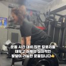 바오핏가락문정 이미지
