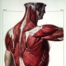 코리아짐 이미지