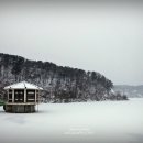 새바라기 이미지