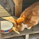 Mong9Mong9Haus 이미지