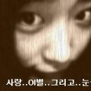 홍 카페(홍 cafe)