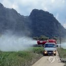 홍천군농업기술센터미생물센터 이미지