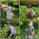 장연초등학교 병설유치원 이미지