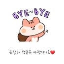 엘리앤몰 이미지