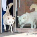 송강동물병원 이미지