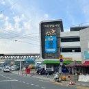 꿈바우 버섯집 | 버섯불고기전골 참가자미회무침 톱찹쌀수제비 맛집 위치 연락처(+꿈바우버섯집, 참가자미, 하양손칼국수)