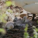 효원전문요양원