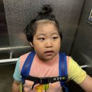 강우 태권도 | 달동이네 2025년 9월 7살 육아일기