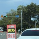 예쁜걸음 | [울산대공원 장미축제] 지금 울산에서 가장 예쁜 곳, 실시간 후기