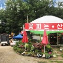 인정프린스아파트 (금곡16통) | 남양주꽃집 꽃피는산골 퀵배달가격