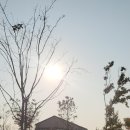 노을진