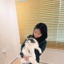 Neko Stay 네이버블로그