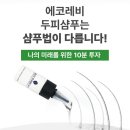 에코레비