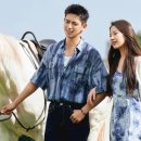 바람이 머무는 곳 이미지