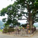 신녕면-치산2리-1