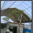 고양농장 이미지