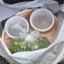 느티나무집 이미지