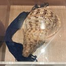 별마당 작은도서관 | 새해에 간 뒤죽박죽 서울투어 후기 3 / 롯데월드 민속박물관·별마당도서관·남산타워 후기(정보)