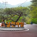 소백산 남천야영장1 이미지