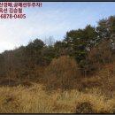 광대정천 네이버블로그