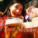 생맥주 머니투데이