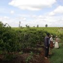 카페더케냐 이미지