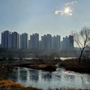김시민대교 둔치 이미지