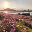 구드래 주차장 화장실 이미지