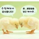 세상살이 이미지