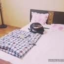 봉황장여관 이미지