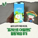 숲속의 아일랜드유치원 | [국민기자단] 🌿숲의 소리가 게임 속으로, ‘포레스트 아일랜드’ 힐링게임 후기