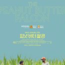 피넛버터팔콘