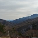 구례밀밭 이미지